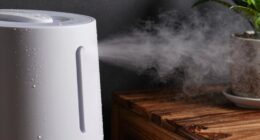 excess humidity causes problems