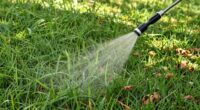 gentle lawn revival tips