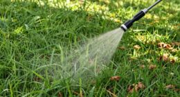 gentle lawn revival tips