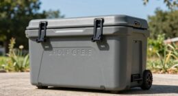 top premium cooler brands