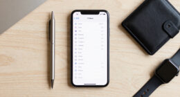 ICE Agents Have List of 20 Million People on Their iPhones Thanks to Palantir