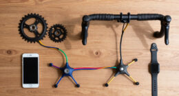It takes two neurons to ride a bicycle (2004)