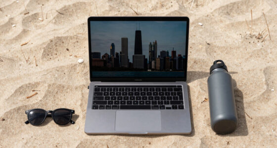 What you see in the Sun, is the Chicago skyline from the Indiana Dunes beach, across Lake Michigan. You can see it from 50 miles of distance due to a form of superior mirage, because the skyline is seen above where it's actually located.