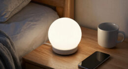 2 Best Home Night Lights In 2026