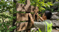 Judge orders restoration of national park plaques removed under Trump directive