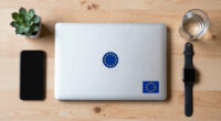 The European Union: Rules First, Cushion Always