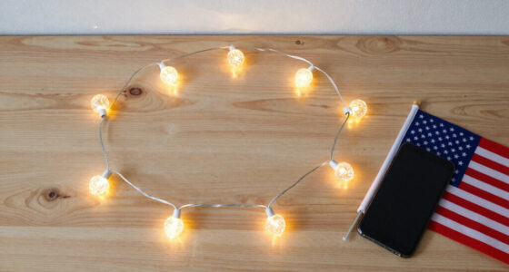 11 Best Patriotic LED String Lights in 2026