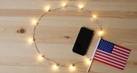 14 Best Patriotic LED String Lights in 2026