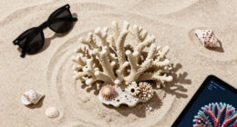 Can 3D-printed coral reefs help the Maldives save paradise?